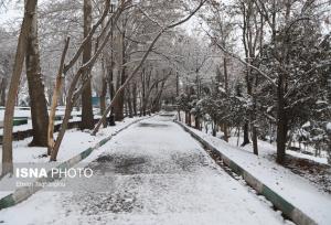 هشدار برای سرمای کم‌سابقه در ۲۶ استان کشور
