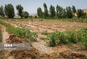 برآورد خسارت ۴۷۵۰ میلیاردی سیل به کشاورزی سیستان و بلوچستان