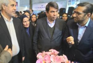 پتانسیل‌های جنوب کرمان نباید مغفول بماند/ ظرفیت‌های بی‌نظیر معدنی در منطقه