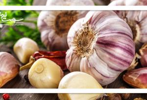 واقعیت مصرف سیر خام: آیا سیر باعث لاغری می‌شود؟