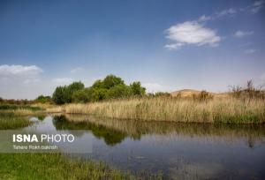 آبگیری دوباره تالاب کانی‌برازان مهاباد