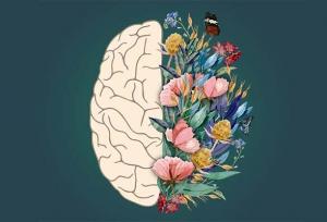 سلامت روان، سنگ‌بنای آرامش در جامعه دانشگاهی است