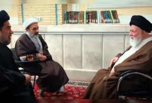 دیدار آیت‌الله علم‌الهدی با رهبر برجسته شیعیان هند