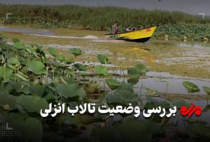 پهنه آبی گیلان در انتظار اعتبار؛ تالاب انزلی از «مونترو» خارج می‌شود!