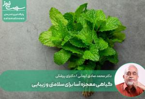 گیاهی معجزه آسا برای سلامتی و زیبایی