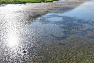 یک استادیار رشته زمین‌شناسی: بازیابی سریع دشت‌های بحرانی بدون تغییرات ساختاری در مدیریت آب ممکن نیست