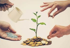 تعاونی‌ها در گلستان جان می‌گیرند؛ اشتغال با گام‌های محتاط