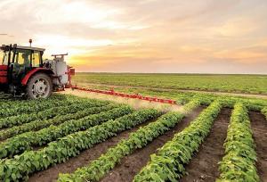 تولید سالانه ۴.۵ میلیون تن محصولات کشاورزی در استان اردبیل