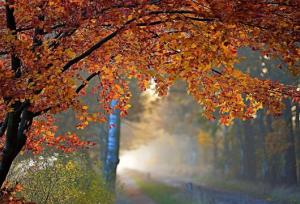 بارش ۷ میلیمتری باران در  «میلاب» نهاوند