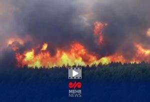 آیا کشورهای دیگر برای مهار آتش الیت کمک کردند؟