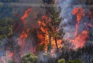 آتش در دو نقطه گرگان شعله‌ور شد؛ منابع طبیعی گلستان در آماده‌باش کامل