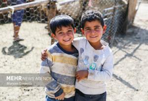 دانای عزیزی: کوچ قشلاقی عشایر شیروان آغاز شد