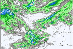 هشدار قرمز در یک استان؛ نفوذ سرمای شدید و خطر سرمازدگی محصولات کشاورزی