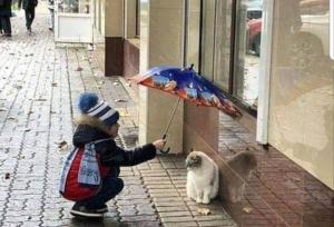 اقدام احساسی یک پسربچه برای گربه زیر باران!