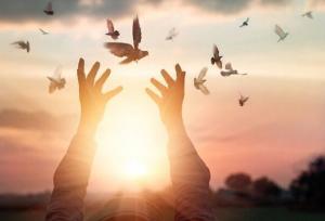 نیکوکاران کردستانی زمینه آزادی ۲۲ زندانی جرایم غیرعمد را فراهم کردند