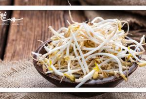 فواید شگفت‌انگیز جوانه‌های لوبیا برای سلامت بدن و ذهن