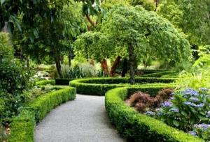 حضور درفضاهای سبز باعث رشد بهتر مغز کودکان می‌شود