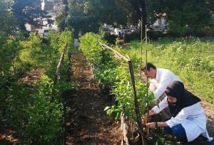 توسعه آموزش کشاورزی از هنرستان تا مزرعه