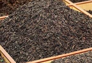 قیمت ساده‌ترین لذت مردم ایران هم گران شد