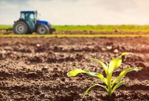 اصلاح الگوی کشت ضرورتی اجتناب ناپذیر