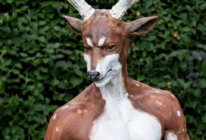 مرد گوزن‌نما در آمریکا به اشتباه شکار شد!