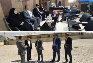 دانش‌فر: آموزش و پرورش زمین مازاد در گناوه ندارد