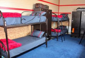 انتقاد یک مسئول در اداره‌کل ورزش استان از رها شدن ساخت دو خوابگاه‌ ورزشی در خراسان‌شمالی