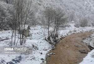 وزش باد شدید و بارش برف و باران در زنجان / کاهش دما و یخبندان از شنبه در زنجان