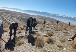 بیابان‌زایی، تثبیت خاک و بهبود وضعیت پوشش گیاهی در مراتع «زاغه‌انوج»