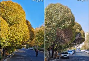 عکس عجیب از پاییزِ تهران به فاصله یک سال!