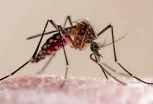 دستگاه لیزری که پشه‌های مزاحم را تار و مار می‌کند!