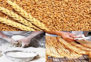 یارانه آرد و نان برای افزایش کارایی و شفافیت بیشتر تفکیک شود