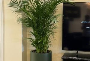 راهنمای جامع خرید گلدان؛ مدل‌های فایبرگلاس و فلزی