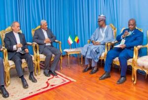 دیدار فرستاده ویژه عراقچی با وزیر خارجه نیجر