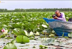 معاون گردشگری استان: حد و حدود مناطق نمونه گردشگری کرمانشاه مشخص می‌شود