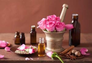 گلاب سیاه رونمایی شد