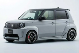 دوو ماتیز‌ جایگزین ژاپنی پیدا کرد