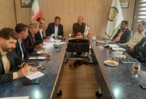 نشست تخصصی «پروژه کاهش خلاء پتانسیل گندم» در ایلام برگزار شد