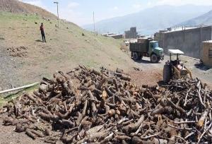 باقری: مقابله با قاچاقچیان چوب در مازندران تشدید می‌شود