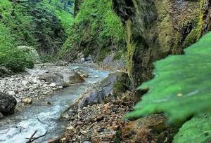 شصت‌کلا؛ نگین سبز گرگان در آغوش مه و افسانه