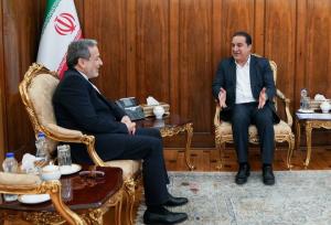 دیدار و گفتگوی استاندار ایلام با عراقچی