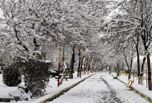 منظره زیبای برفی جاده هزاوه به اراک