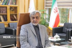 میرغضنفری: بیمه‌ها در ارتقای امنیت اجتماعی مردم نقش کلیدی دارند