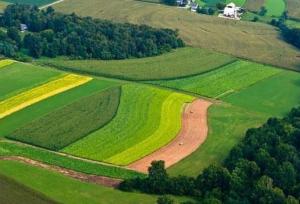 رئیس کل دادگستری: بیش از ۲۰۰۰ هکتار از اراضی ملی مازندران رفع تصرف شد