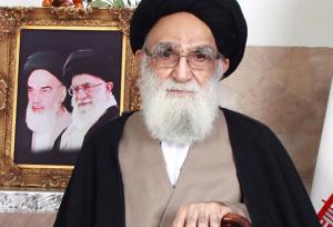آیت الله محمودی گلپایگانی از مردم برای حضور در انتخابات دعوت کرد