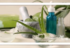 گیاه معجزه‌گر اما خطرناک