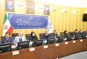 بررسی سیاست‌های ارزی دولت در کمیسیون تلفیق