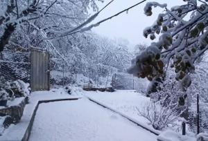 بارش برف در شهر پول