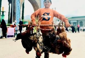 عرضه کالاهای اساسی ۲۵ درصد ارزان‌تر از نرخ بازار در ۲۲ روستابازار مازندران