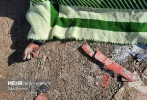 تصادف مرگبار در بزرگراه  لشکری؛ ترس از سگ، جان عابرپیاده را گرفت